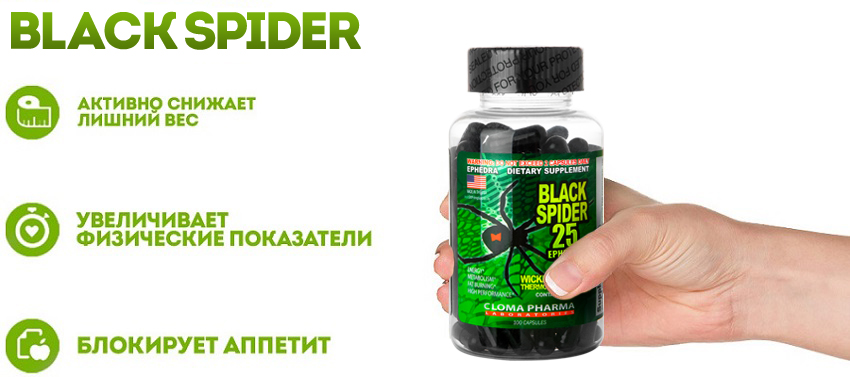 black spider spisok